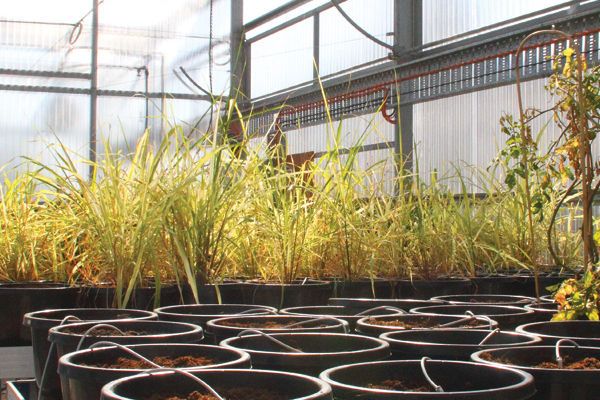 Community College Gippsland (CCG) thumbnail